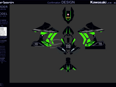 Kawasaki ZX-10R